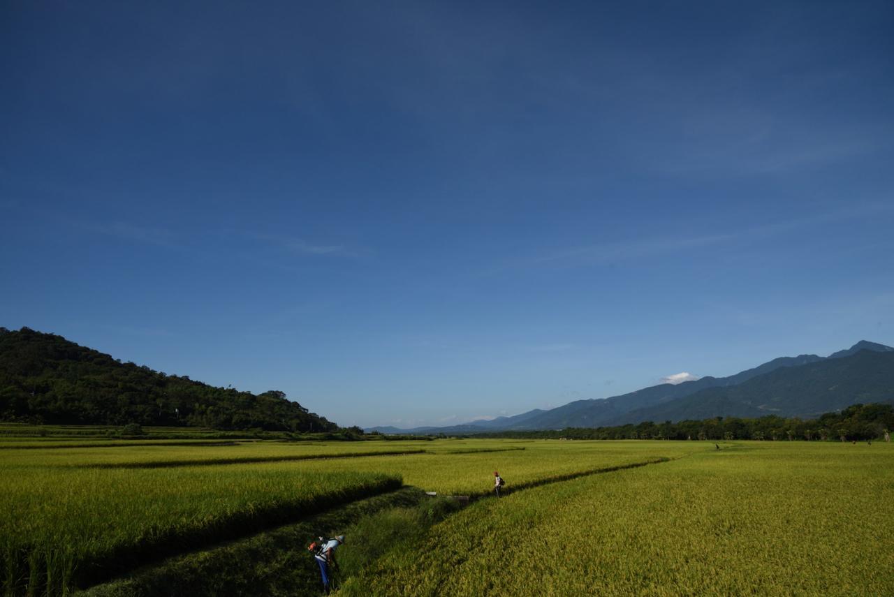 Lost And Find Homestay Guanshan Buitenkant foto