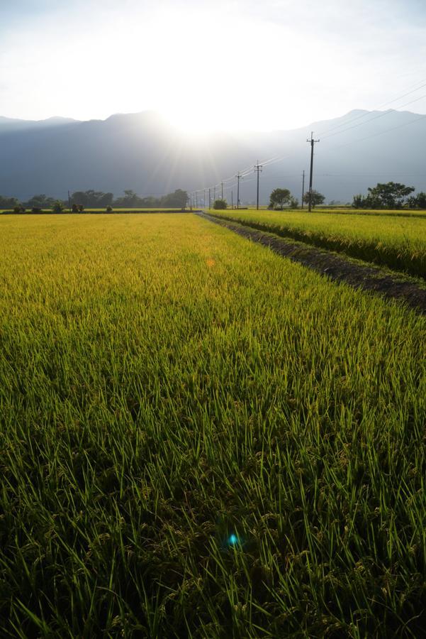 Lost And Find Homestay Guanshan Buitenkant foto