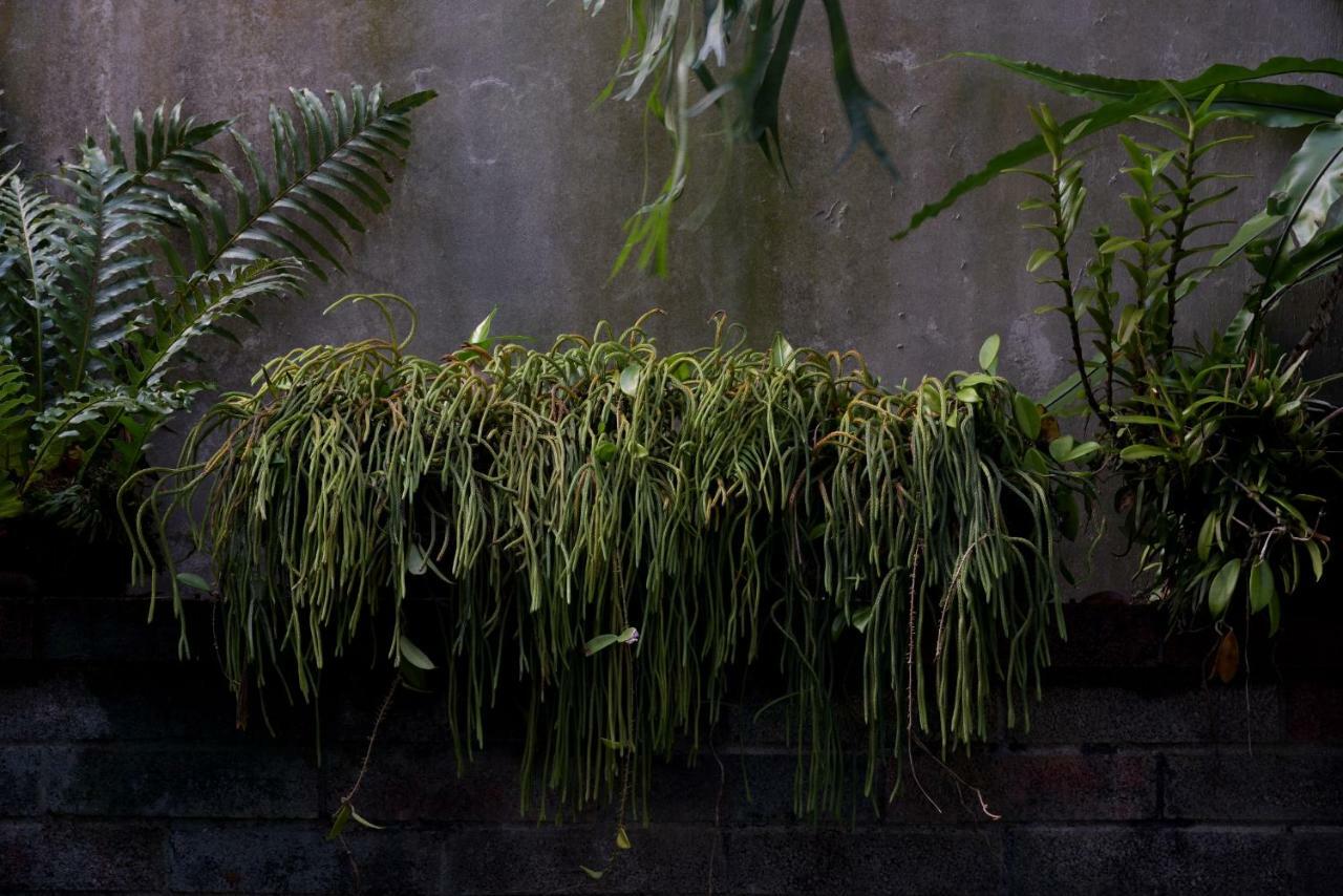 Lost And Find Homestay Guanshan Buitenkant foto
